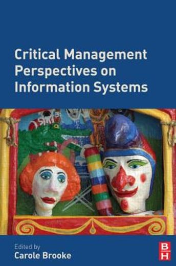 critical management perspectives on info