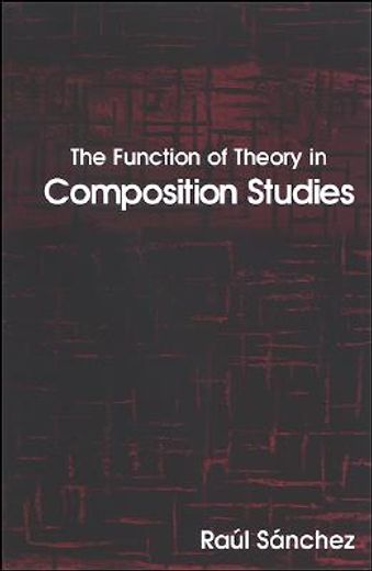 the function of theory in composition studies