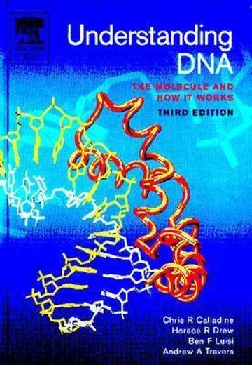 understanding dna,the molecule & how it works