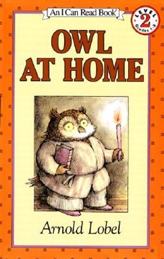 owl at home (en Inglés)