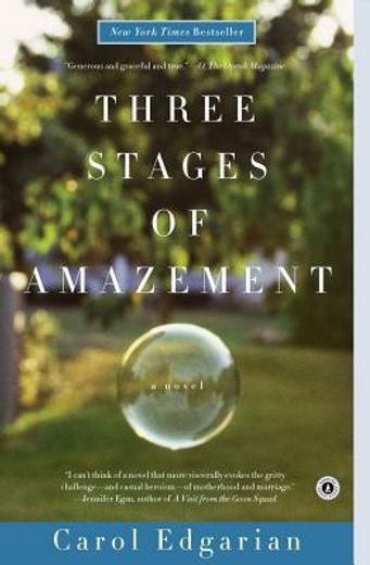 three stages of amazement (en Inglés)
