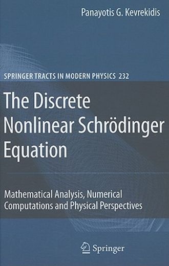 the discrete nonlinear schrodinger equation,mathematical analysis, numerical computations and physical perspectives
