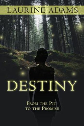 Destiny: From the pit to the Promise (en Inglés)