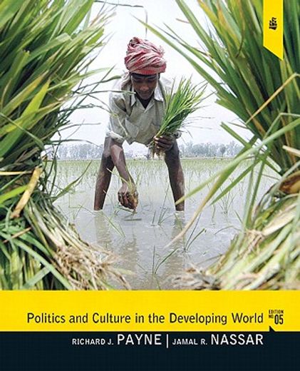 politics and culture in the developing world