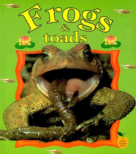 frogs & toads (en Inglés)
