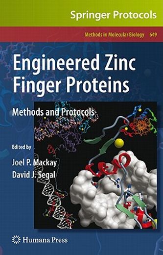 engineered zinc finger proteins (en Inglés)