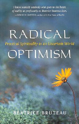 radical optimism,practical spirituality in an uncertain world