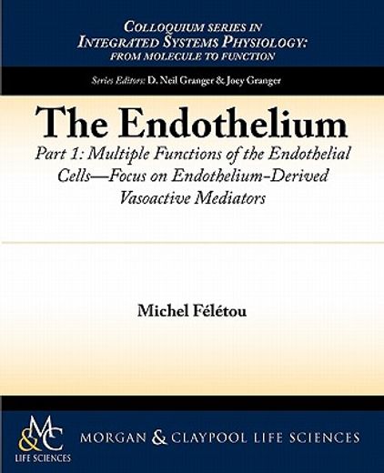 the endothelium