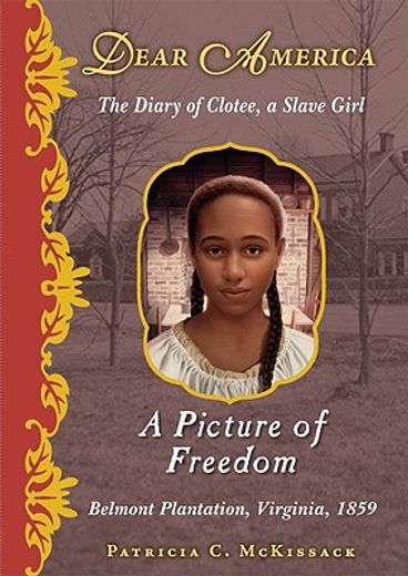 a picture of freedom,the diary of clotee, a slave girl