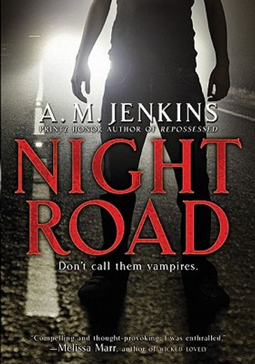 night road (en Inglés)