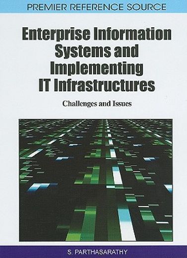 enterprise information systems and implementing it infrastructures,challenges and issues