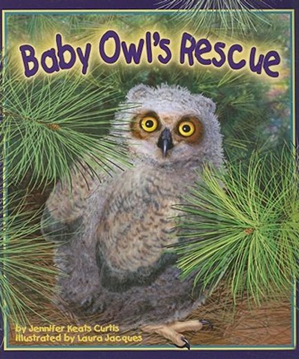 Baby Owl's Rescue (in English)