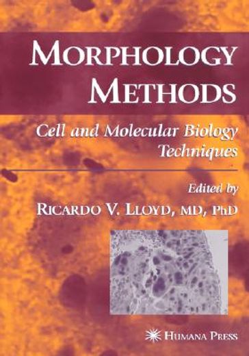 morphology methods (en Inglés)