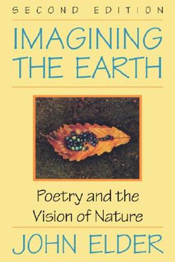imagining the earth,poetry and the vision of nature