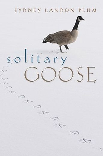solitary goose (en Inglés)