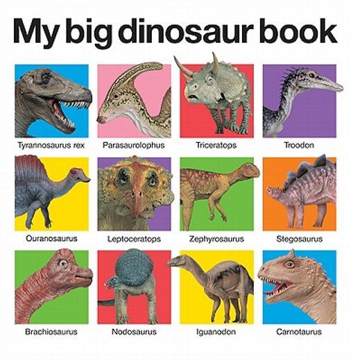 my big dinosaur book (en Inglés)