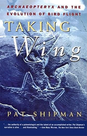 taking wing,archaeopteryx and the evolution of bird flight (in English)