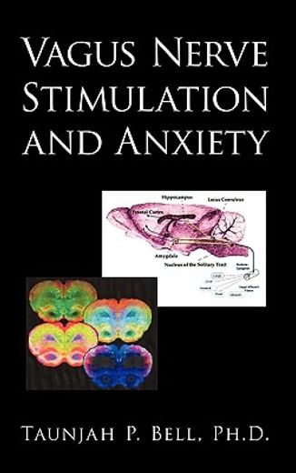 vagus nerve stimulation and anxiety (en Inglés)