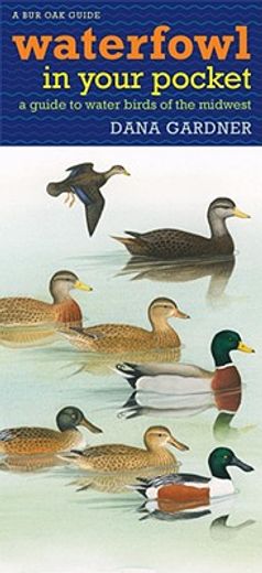 waterfowl in your pocket,a guide to water birds of the midwest