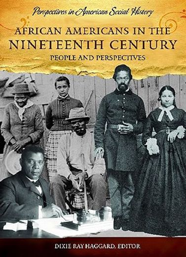 african americans in the nineteenth century,people and perspectives