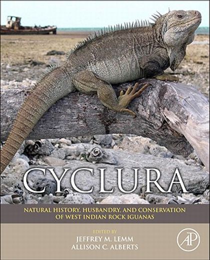 Cyclura: Natural History, Husbandry, and Conservation of West Indian Rock Iguanas (en Inglés)