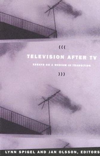 television after tv,essays on a medium in transition