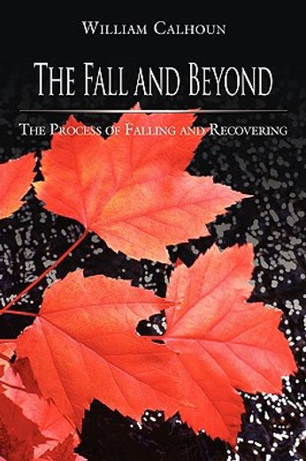 the fall and beyond: the process of falling and recovering