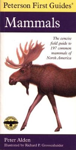 Peterson First Guide Mammals of North America (in English)