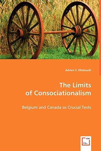 limits of consociationalism