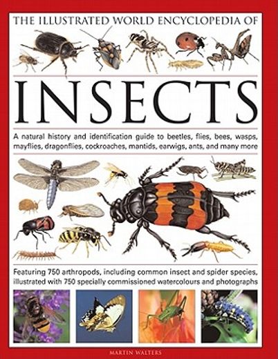 the illustrated world encyclopedia of insects,a natural history and identification guide to beetles, flies, bees wasps, springtails, mayflies, sto