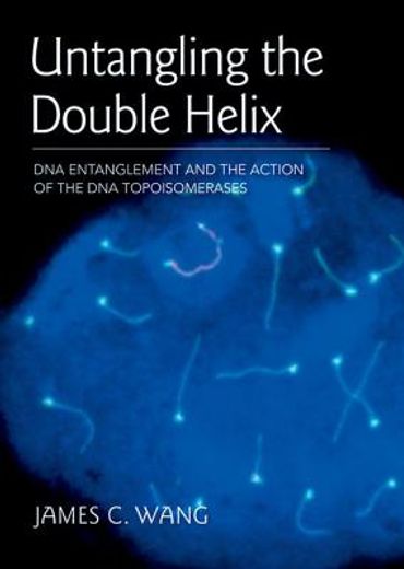 Untangling the Double Helix: Dna Entanglement and the Action of the dna Topoisomerases (in English)