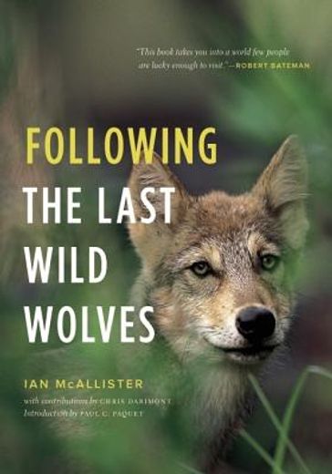 following the last wild wolves (en Inglés)