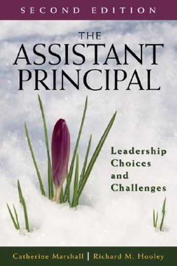 the assistant principal,leadership choices and challenges