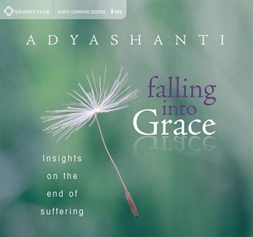 falling into grace,insights on the end of suffering