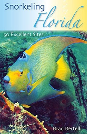 snorkeling florida,50 excellent sites