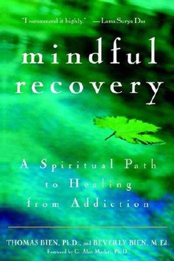 mindful recovery,a spiritual path to healing from addiction (en Inglés)