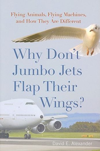 why don´t jumbo jets flap their wings?,flying animals, flying machines, and how they are different