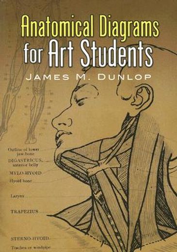 anatomical diagrams for art students (in English)