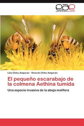 el peque o escarabajo de la colmena aethina tumida