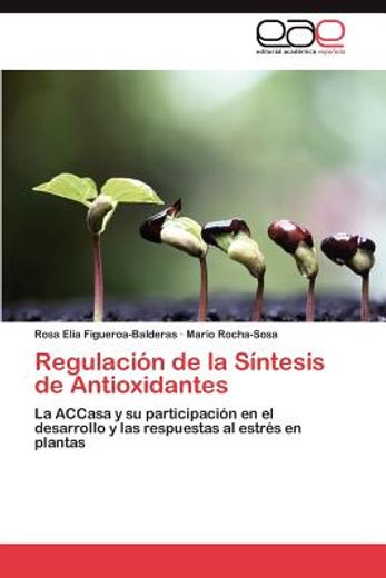 regulaci n de la s ntesis de antioxidantes