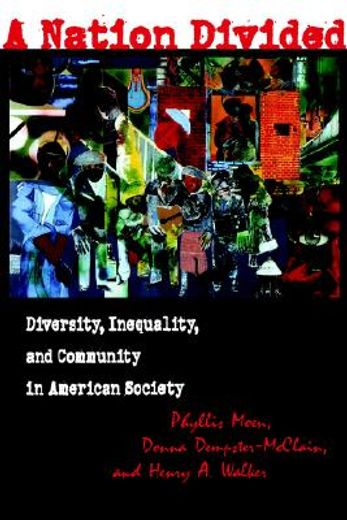 a nation divided,diversity, inequality, and community in american society