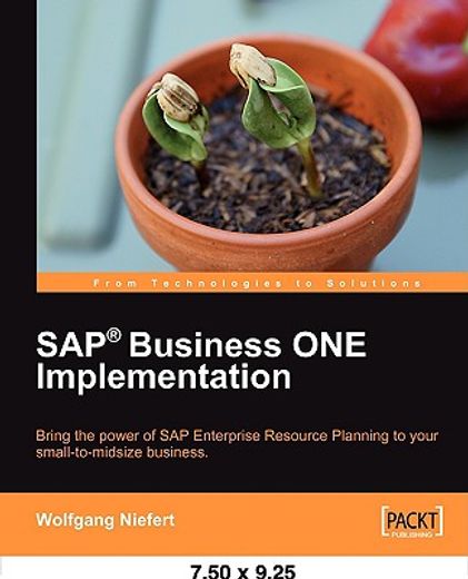 sap business one imp