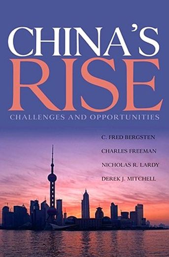 china´s rise,challenges and opportunities