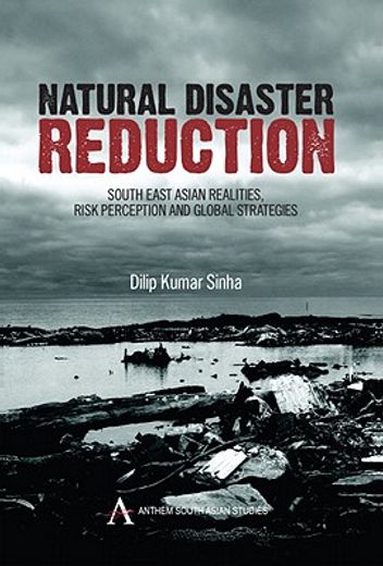 natural disaster reduction,south east asian realities, risk perception and global strategies