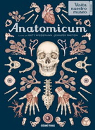Anatomicum (in Spanish)