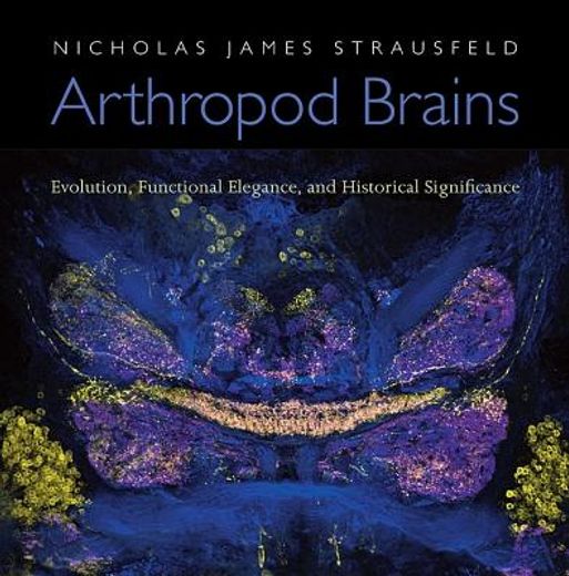 arthropod brains,evolution, functional elegance, and historical significance
