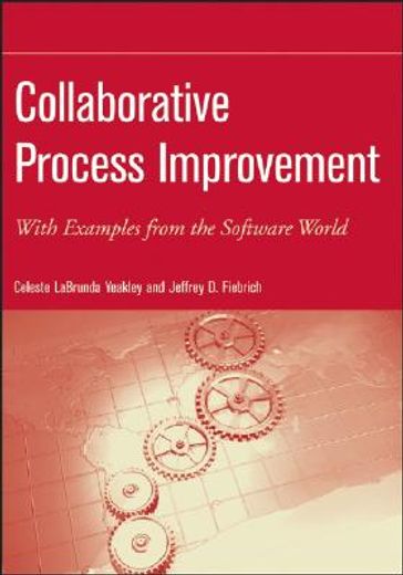 collaborative process improvement,with examples from the software world