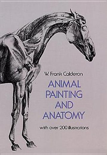 animal painting and anatomy (in English)