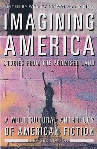 imagining america,stories from the promised land