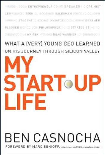 my start-up life,what a (very) young ceo learned on his journey through silicon valley (en Inglés)